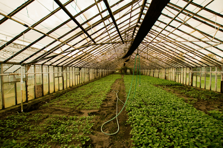 Agriculture - Alcomex » Alcomex